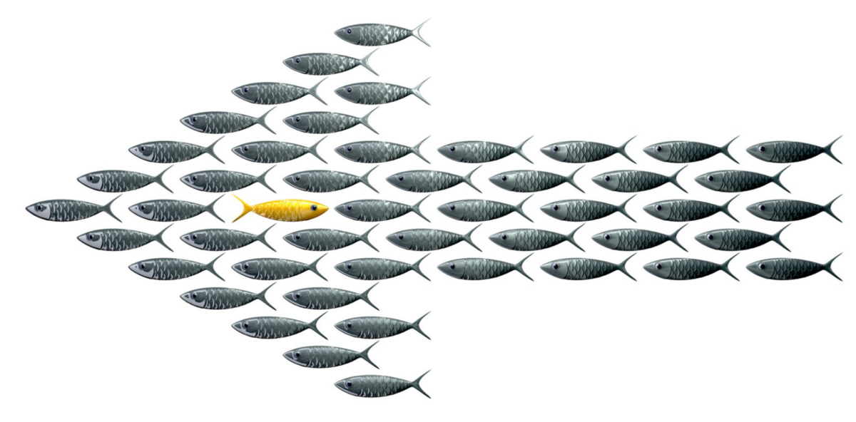 Figure 2. Overwhelmed by the mean”